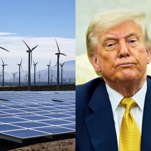 காற்றாலைப் பண்ணைகளையும் டிரம்ப் நிர்வாகம் நிறுத்தி வைத்துள்ளது.